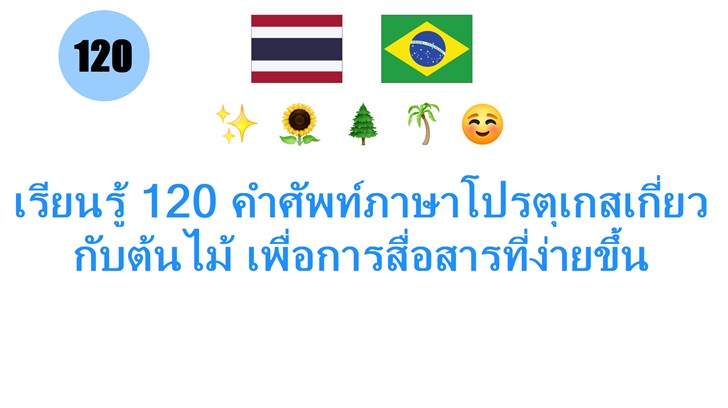 เรียนรู้ 120 คำศัพท์ภาษาโปรตุเกสเกี่ยวกับต้นไม้ เพื่อการสื่อสารที่ง่ายขึ้น